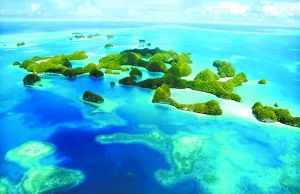 ��غ���������