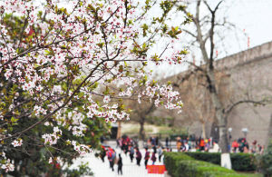 �h(hu��n)�ǹ��@��ęѻ������_�����������������^����