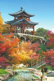 ���Pɽ���@����6���_�@